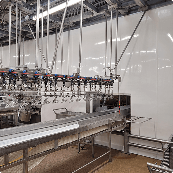Hygiënische wandafwerking FRP plaat HACCP renovatie