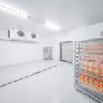 LAMILUX_super_vries_koelcel