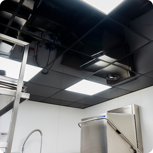 FRP systeem plafond zwart wit haccp