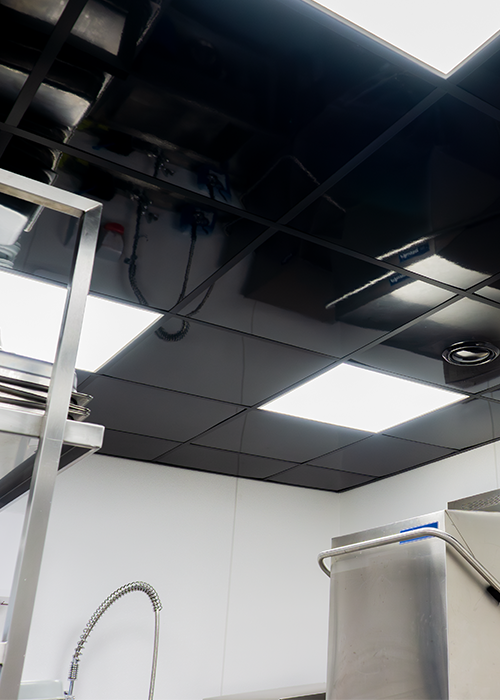 systeem_plafond_06 FRP systeem plafond zwart wit haccp